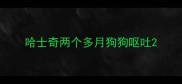 哈士奇两个多月狗狗呕吐