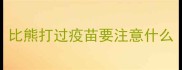比熊打过疫苗要注意什么
