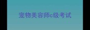 宠物美容师c级考试
