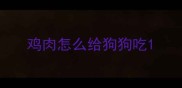 鸡肉怎么给狗狗吃
