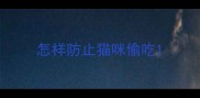 怎样防止猫咪偷吃