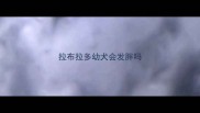 拉布拉多幼犬会发胖吗