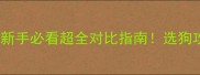 金毛vs拉布拉多新手必看超全对比指南选狗攻略附真实养宠经验