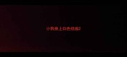 小狗身上白色结痂