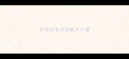 拉布拉多犬训练大小便