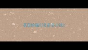 英国给猫打疫苗多少钱