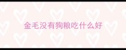 金毛没有狗粮吃什么好