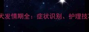 边境牧羊犬母犬发情期全症状识别护理技巧与绝育建议