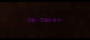边牧一天能吃多少