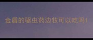 金盾的驱虫药边牧可以吃吗