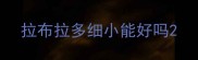 拉布拉多细小能好吗