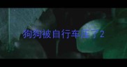狗狗被自行车压了
