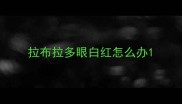 拉布拉多眼白红怎么办