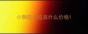 小狗狂犬疫苗什么价格