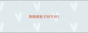 狗狗穿鞋子好不好