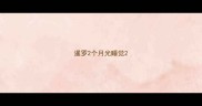 暹罗2个月光睡觉