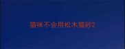 猫咪不会用松木猫砂