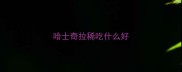 哈士奇拉稀吃什么好