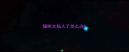 猫咪太粘人了怎么办