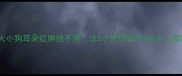 两个月大小狗耳朵红肿挠不停这5个护理细节90主人都忽略了