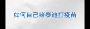 如何自己给泰迪打疫苗