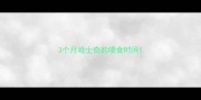 3个月哈士奇的喂食时间