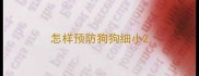 怎样预防狗狗细小