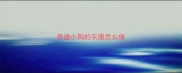 泰迪小狗的衣服怎么做