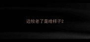 边牧老了是啥样子