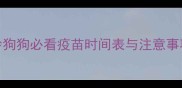 幼犬疫苗接种全流程2月龄狗狗必看疫苗时间表与注意事项附疫苗反应处理指南