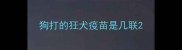 狗打的狂犬疫苗是几联