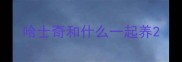 哈士奇和什么一起养