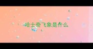 哈士奇飞象是什么