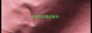 拉布拉多喜欢鲫鱼