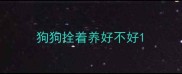狗狗拴着养好不好