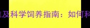 比格犬3个月体重标准及科学饲养指南如何科学喂养幼犬健康成长