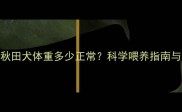 三个月大的秋田犬体重多少正常科学喂养指南与成长监测全