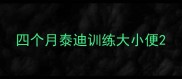 四个月泰迪训练大小便