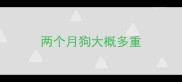 两个月狗大概多重