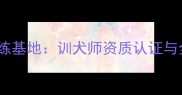 大连专业拉布拉多训练基地训犬师资质认证与全阶段行为矫正指南