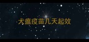 犬瘟疫苗几天起效