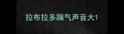 拉布拉多踹气声音大