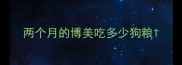 两个月的博美吃多少狗粮