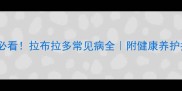 新手必看拉布拉多常见病全附健康养护指南