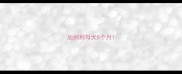 加纳利母犬8个月