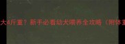 边牧两个月大4斤重新手必看幼犬喂养全攻略附体重管理表
