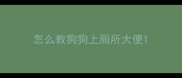 怎么教狗狗上厕所大便