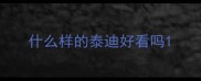 什么样的泰迪好看吗
