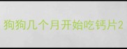 狗狗几个月开始吃钙片