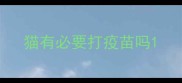 猫有必要打疫苗吗